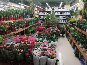 花卉市场