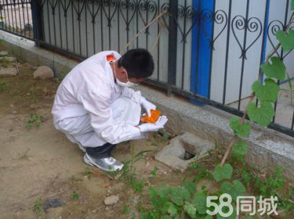 産防除サービス