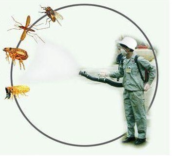 倉庫向け除虫サービス