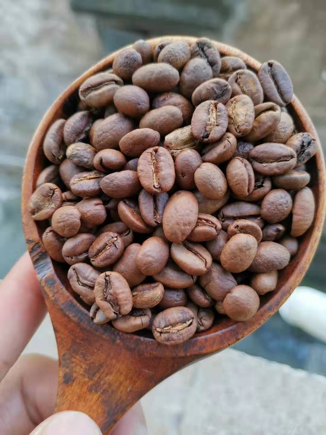 咖啡品种