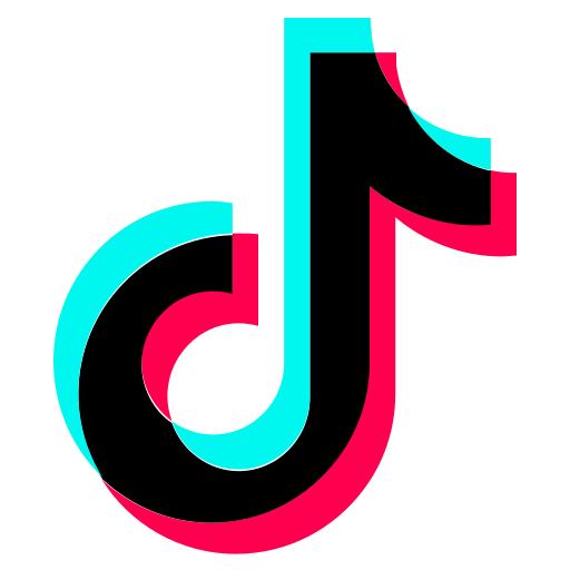 TikTok Logo