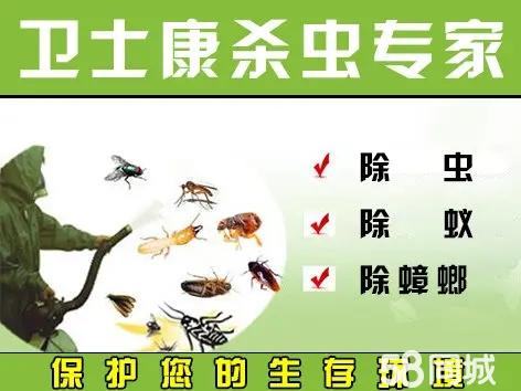 新築住宅防蟻処理