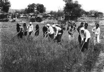 抗日根据地军民生产生活