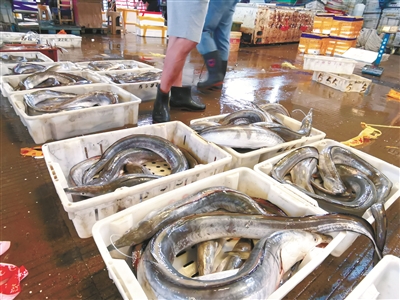 新版《食品安全法》解读