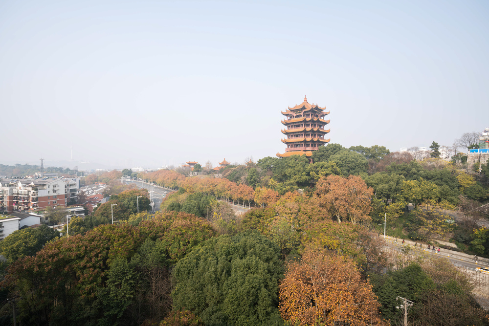 Wuhan City View