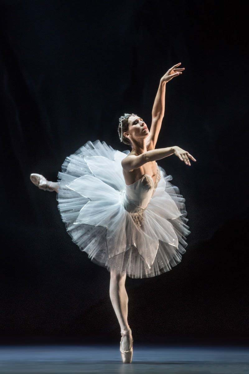 芭蕾课程
