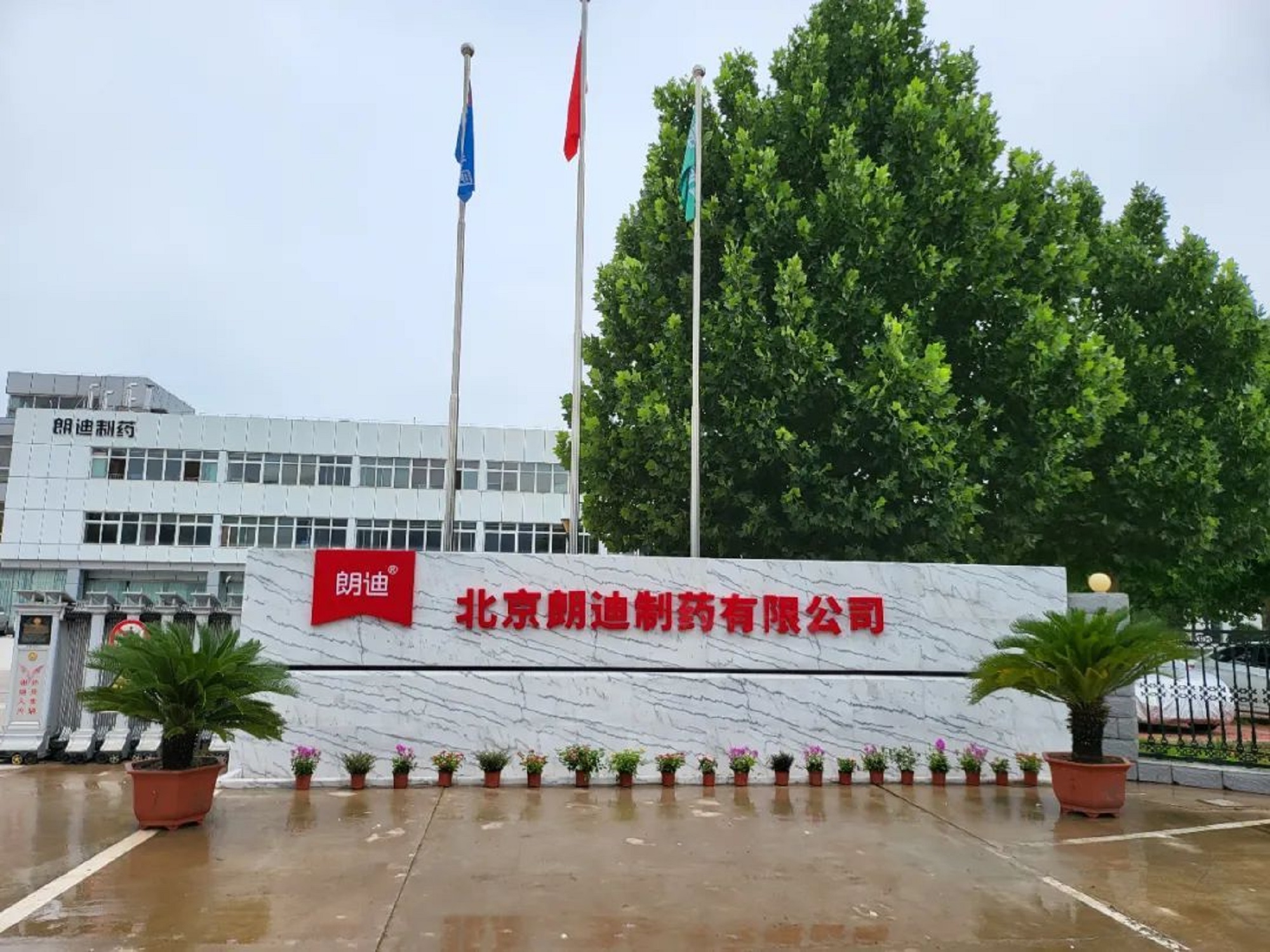 行业动态