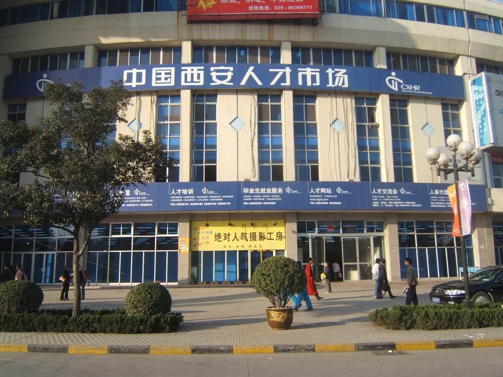就业政策